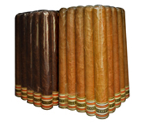 Cuban Stock Factory Seconds
